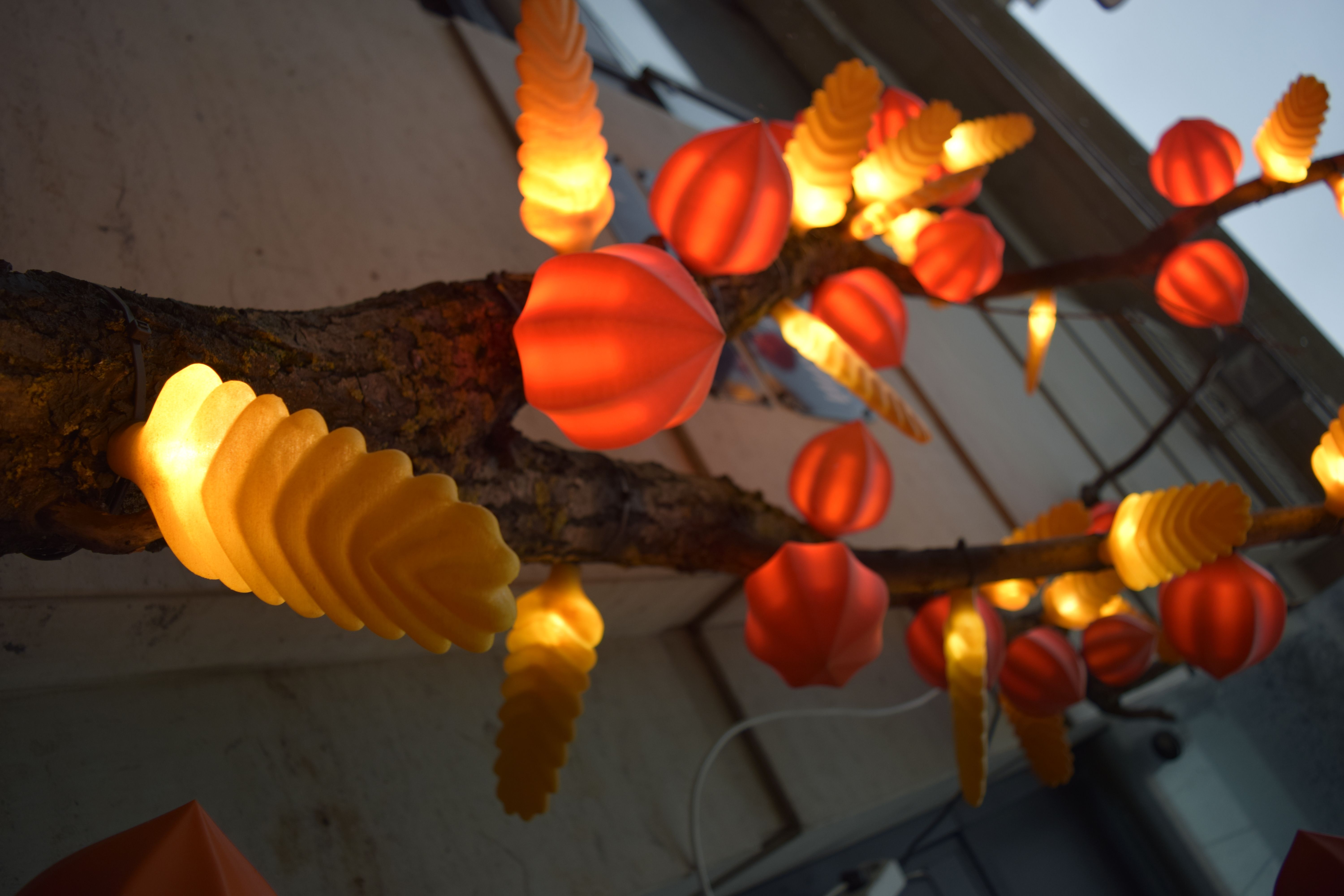 Пшеничное дерево