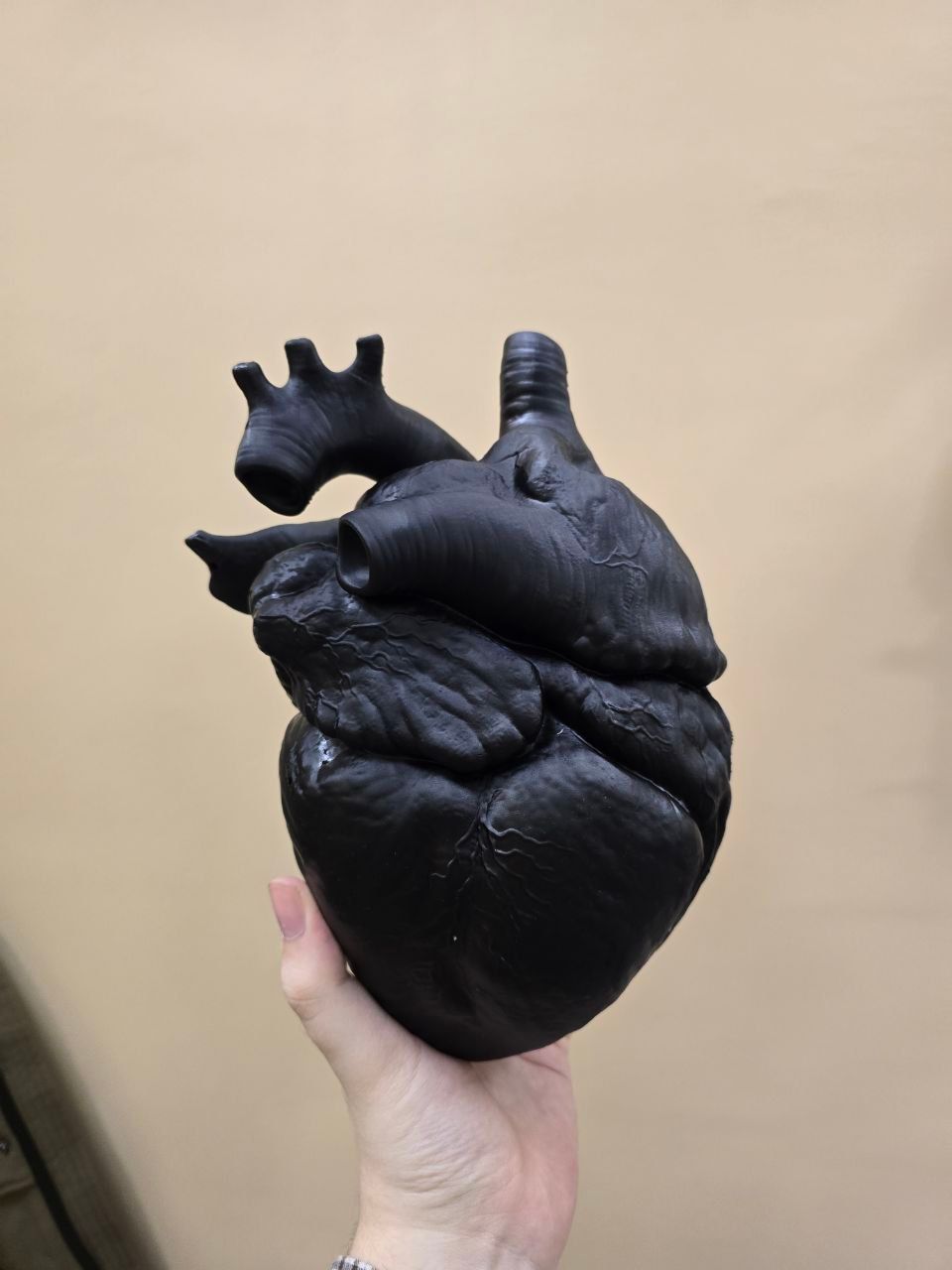 Миниатюра 2